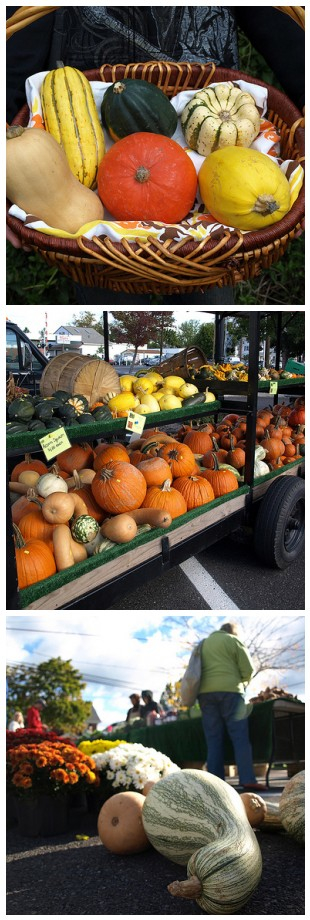 Winter Squash